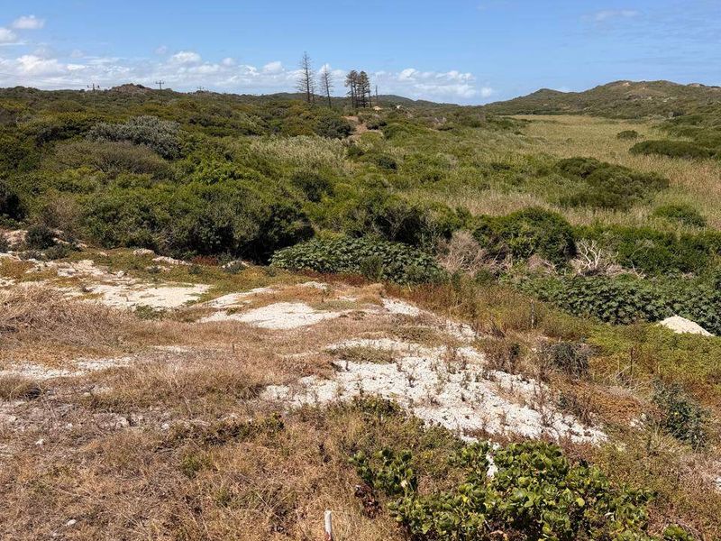 A view of the natural landscape featuring native vegetation and rocky terrain on the vacant residential land.