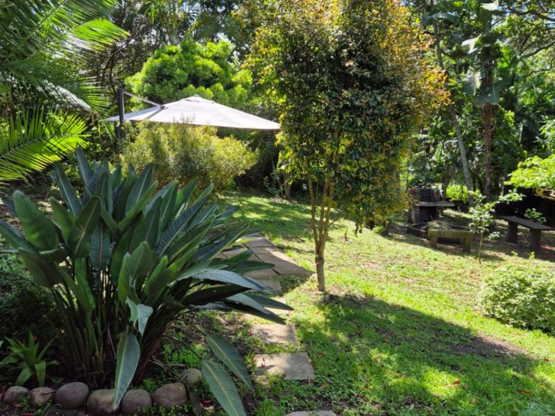 House Rental Monthly In Southbroom - Photo 1