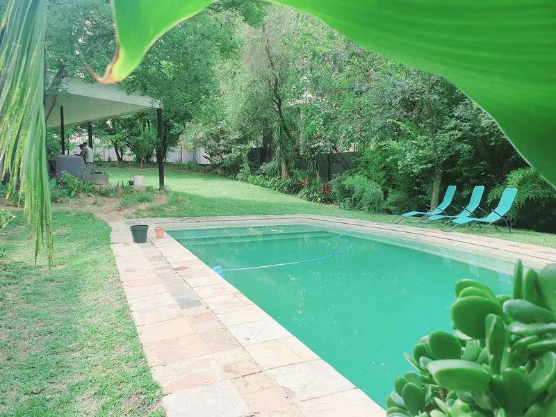 House Rental Monthly In Sandton - Photo 4