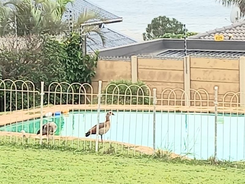 House For Sale In Margate - Photo 9