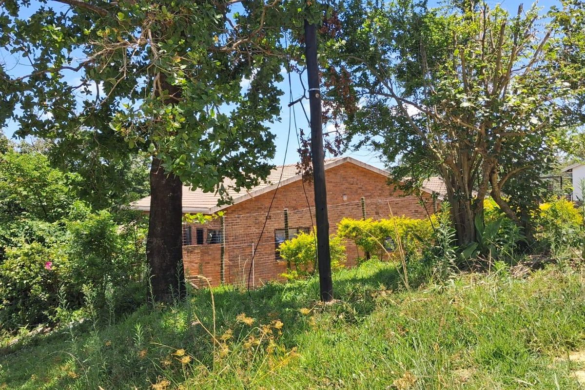 A view of the rear face-brick facade of the house, partially obscured by mature trees and overgrown garden vegetation.