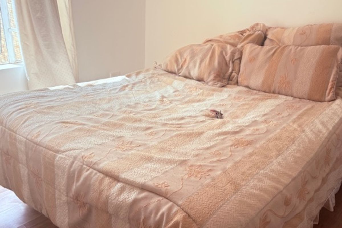 A bedroom featuring laminate flooring and natural light from a side window.