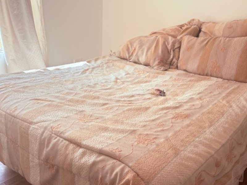 A bedroom featuring laminate flooring and natural light from a side window.