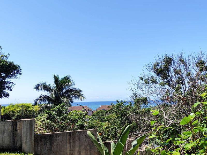 A scenic view overlooking the ocean, framed by lush garden greenery and a concrete boundary wall.