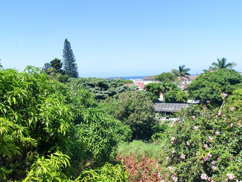 A scenic elevated view overlooking lush green vegetation, mature trees, and distant residential rooftops with a glimpse of the ocean horizon.