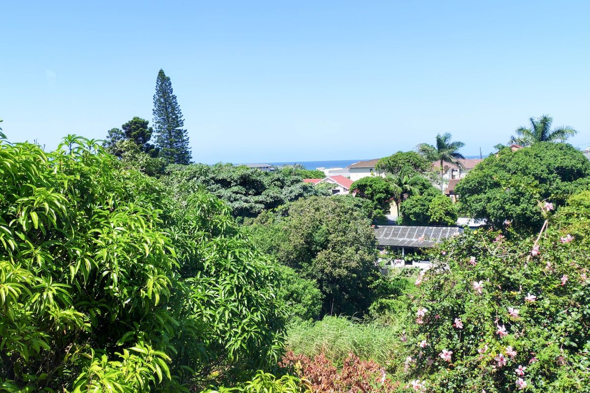 A scenic elevated view overlooking lush green vegetation, mature trees, and distant residential rooftops with a glimpse of the ocean horizon.