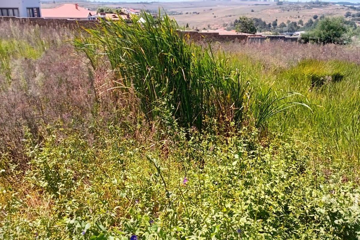 Vacant Land For Sale In Bronkhorstspruit - Photo 5