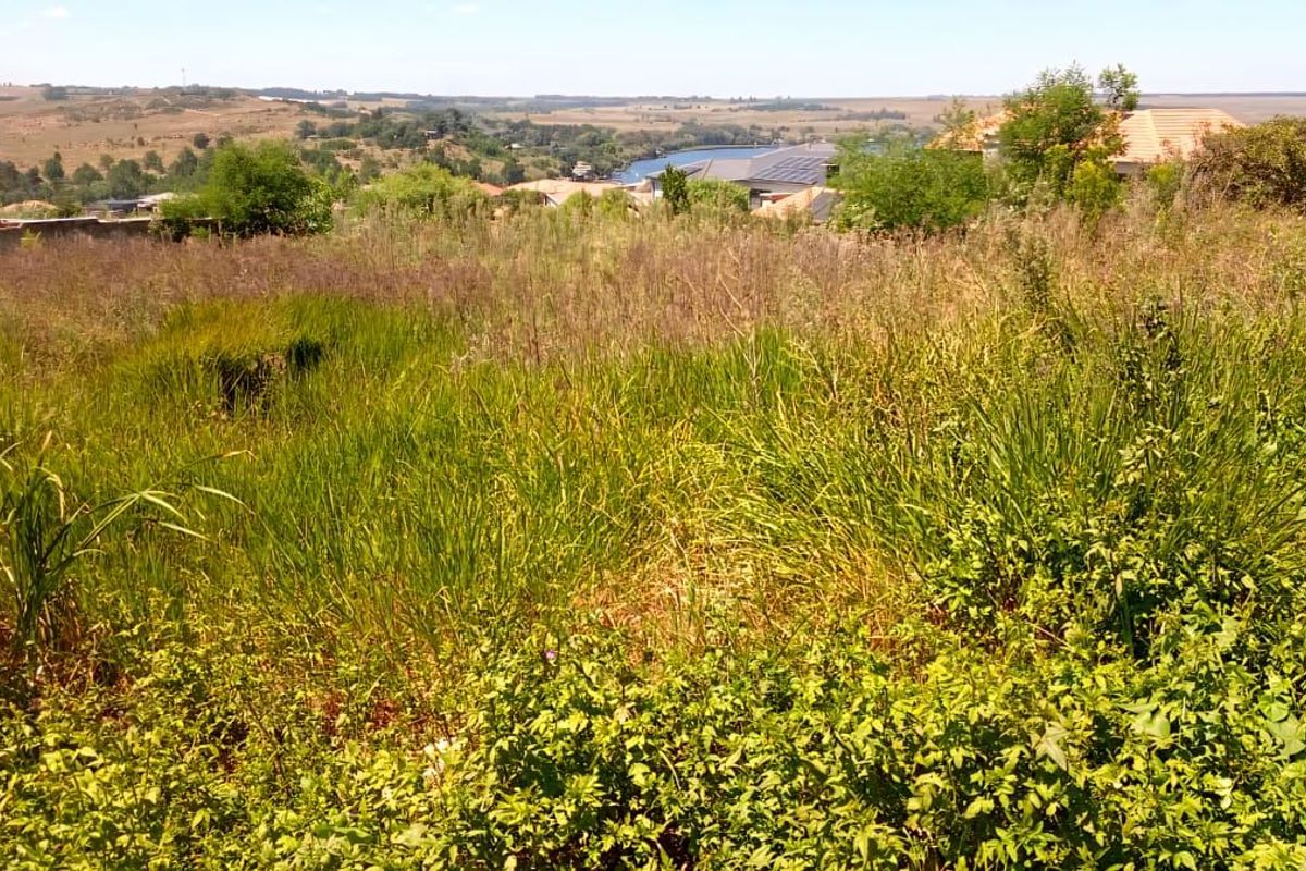 A view of a vacant residential plot featuring overgrown natural vegetation with surrounding landscape and distant residential properties.