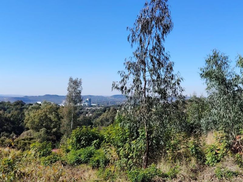 A scenic landscape view overlooking a wooded area with distant urban development under a clear blue sky.