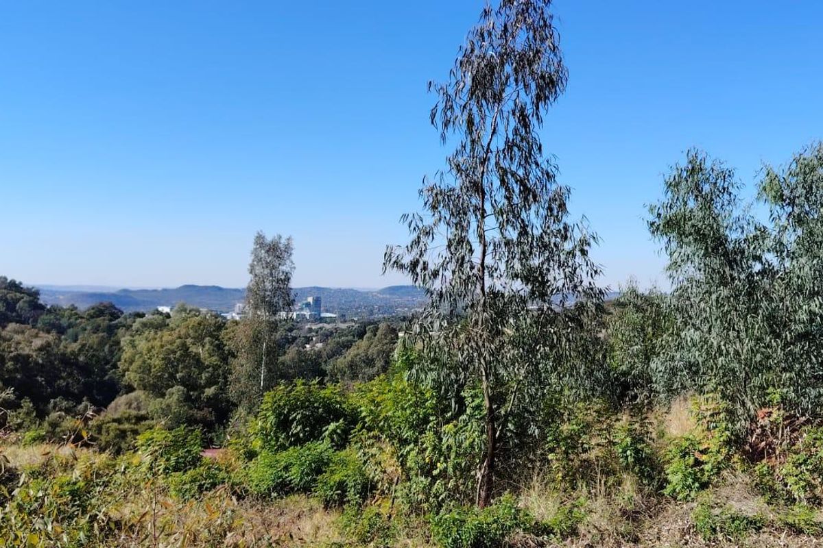 A scenic landscape view overlooking a wooded area with distant urban development under a clear blue sky.