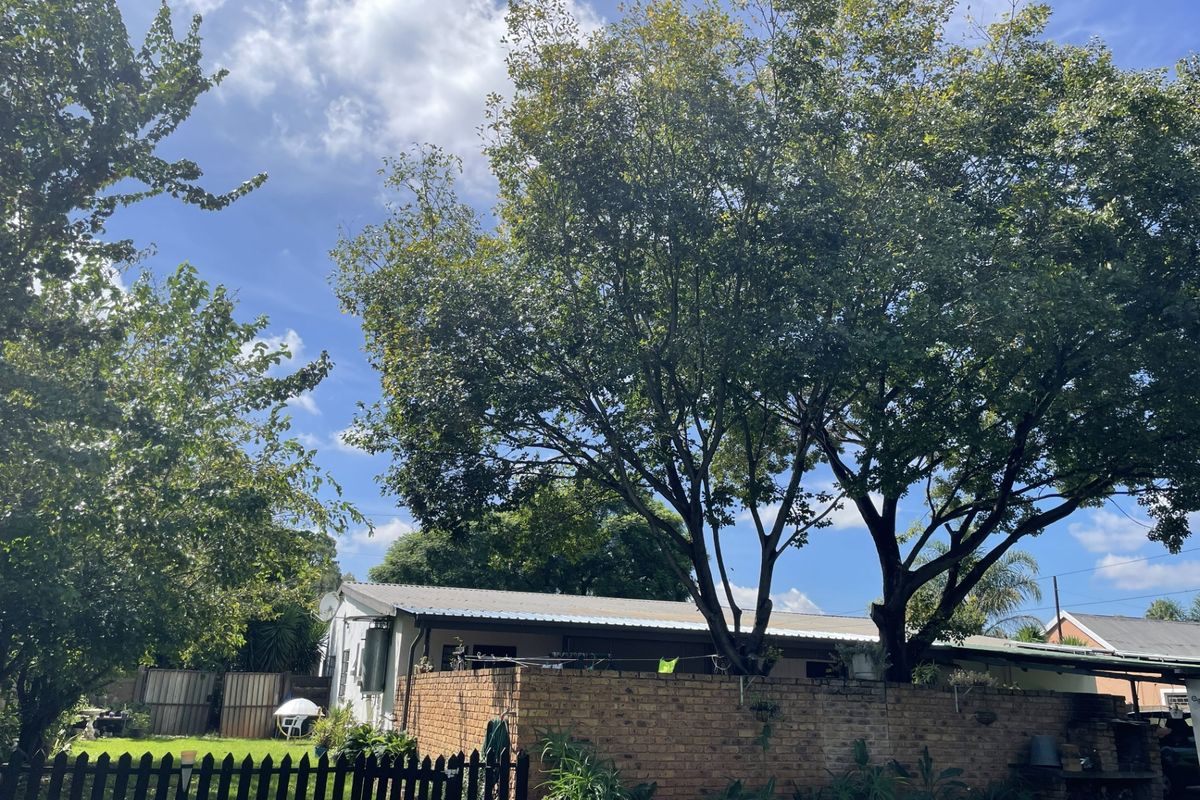 Rear view of the property featuring a brick boundary wall, picket fencing, and established trees in the garden area.