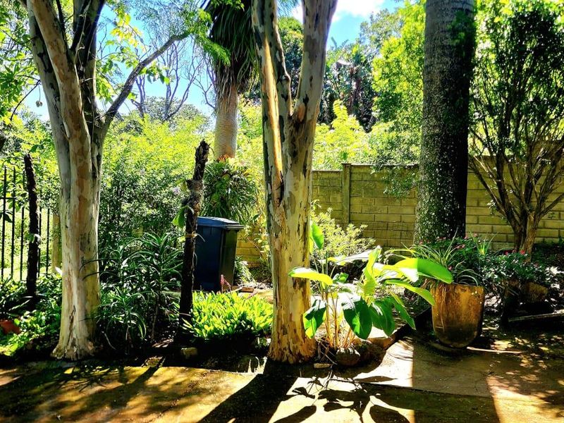 House For Sale In Port Edward - Photo 3