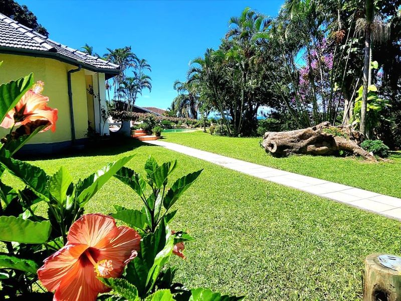 A well-maintained garden featuring a paved walkway leading alongside the house, surrounded by lush landscaping and mature trees.