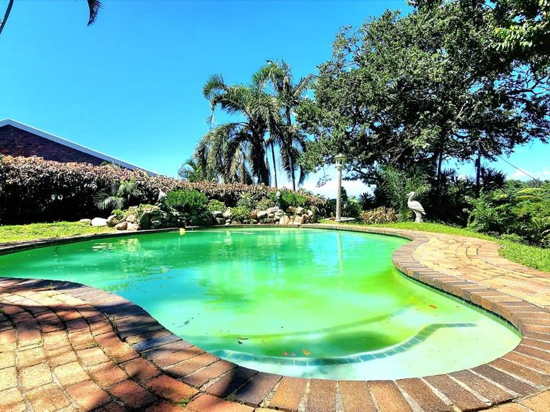 Outdoor swimming pool area featuring brick coping and established garden surroundings.