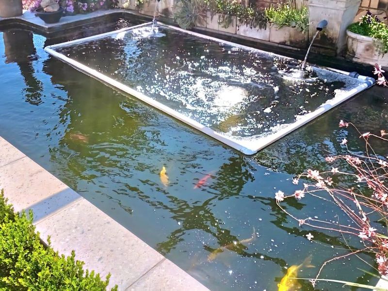 House For Sale In Bronkhorstspruit - Photo 3