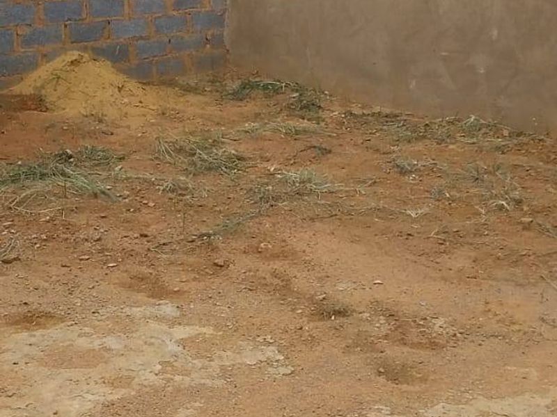 House For Sale In Springs - Photo 6