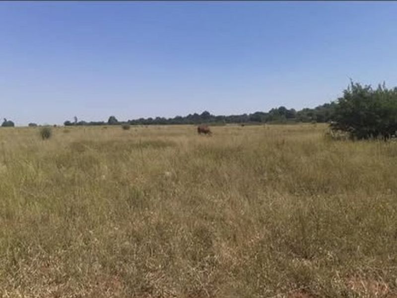 Vacant Land For Sale In Meyerton - Photo 3