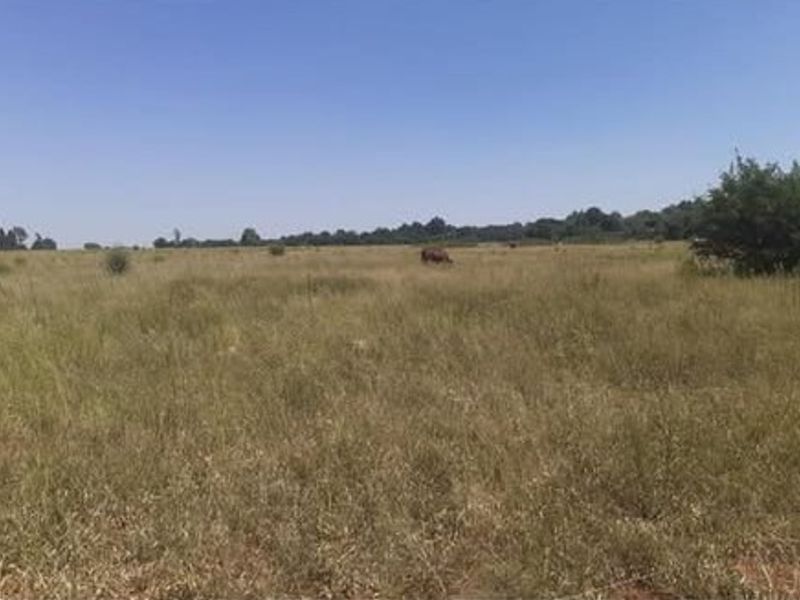 Vacant Land For Sale In Meyerton - Photo 4