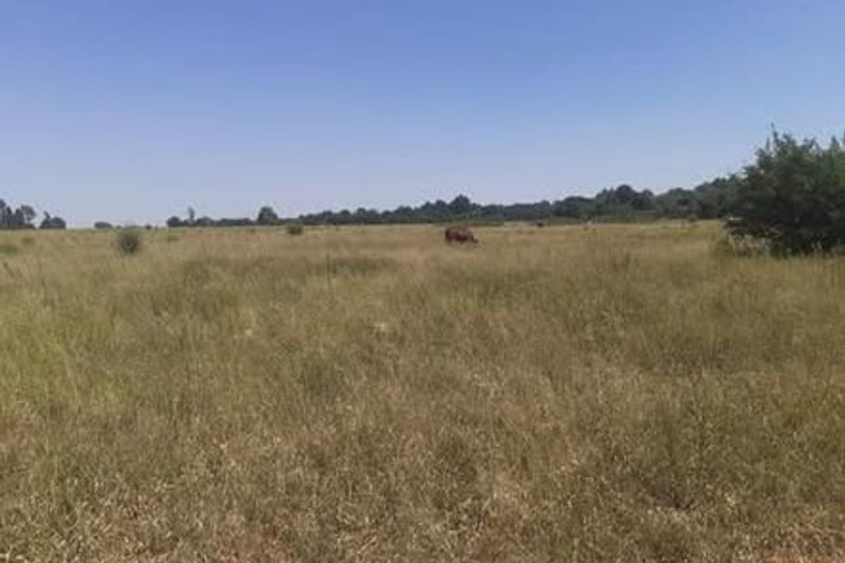 A wide-angle view of a vacant residential plot featuring natural grassland and scattered vegetation.
