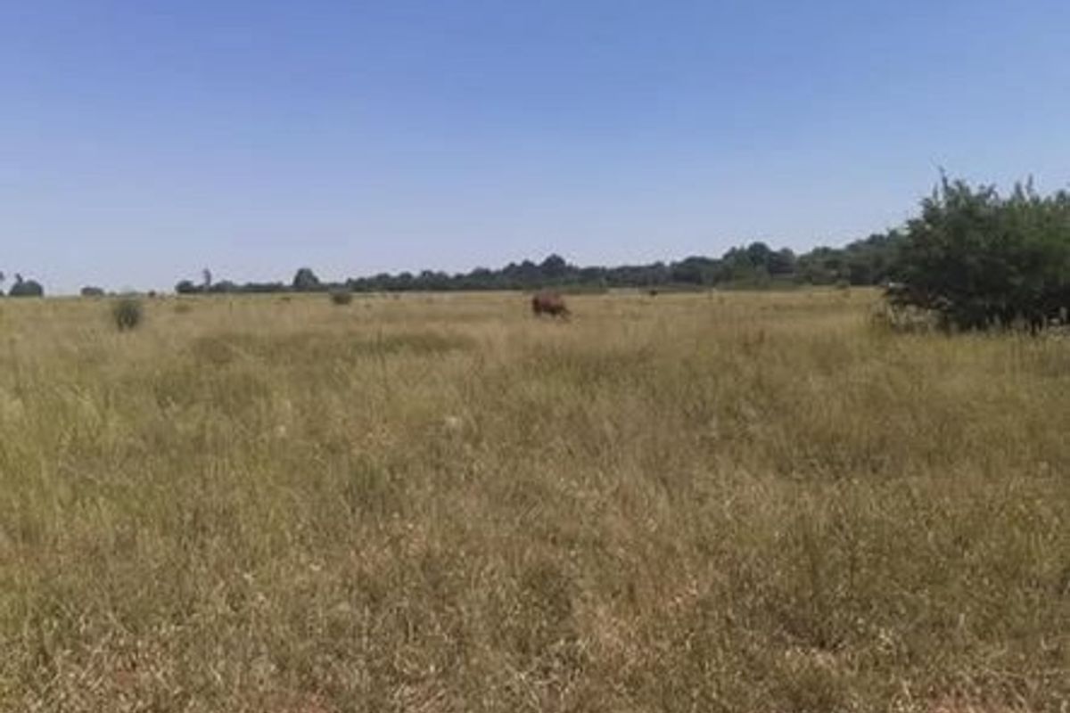 A wide-angle view of an undeveloped residential vacant land plot featuring natural grassland and surrounding vegetation.
