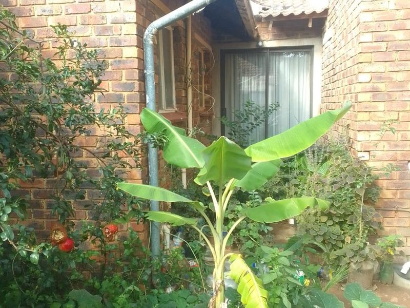 House For Sale In Evaton - Photo 7