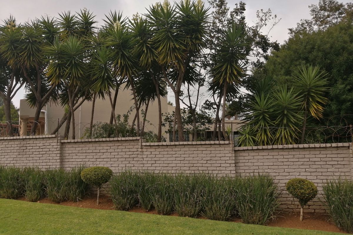 A well-maintained rear garden featuring a solid brick boundary wall topped with security razor wire and mature yucca trees.