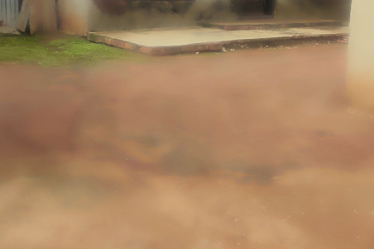 House For Sale In Katlehong - Photo 3