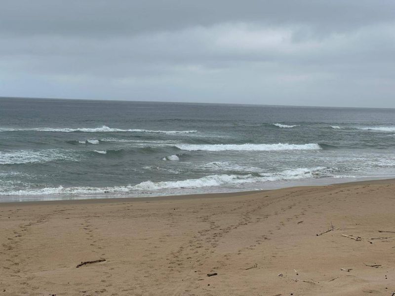 A scenic view of the ocean and sandy beach under an overcast sky.