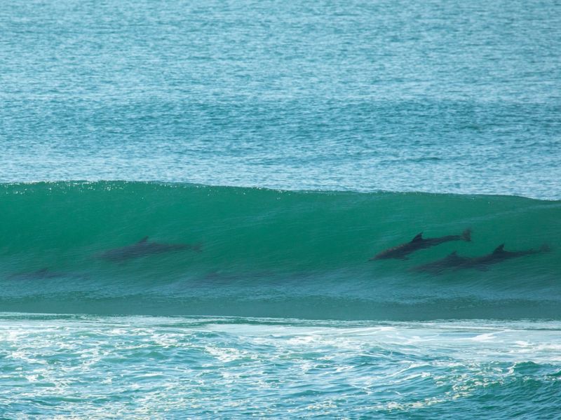 House For Sale In Port Shepstone - Photo 6