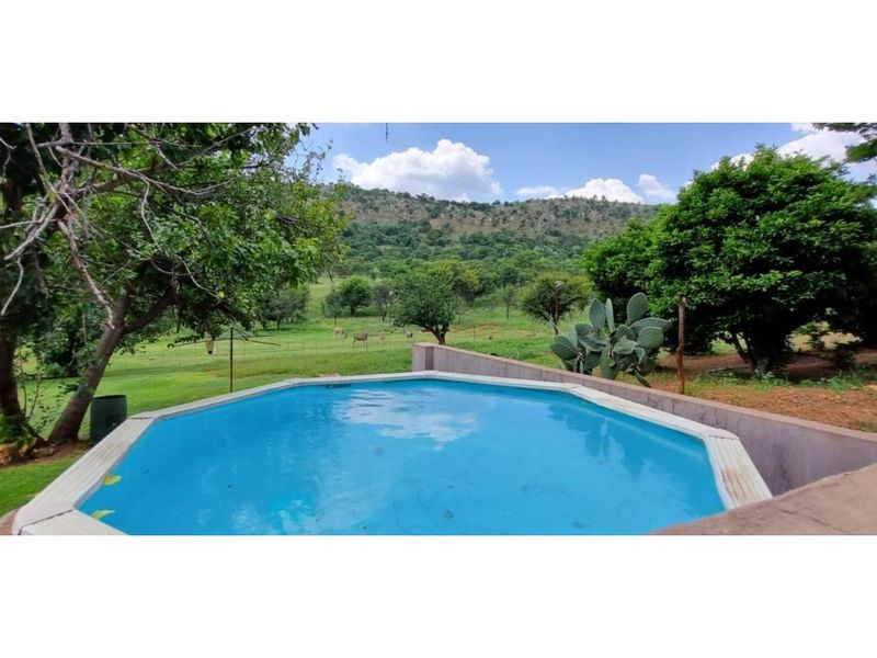 Farm For Sale In Parys - Photo 2