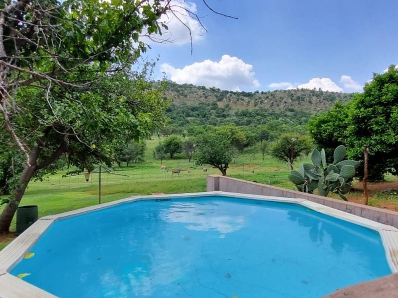 Farm For Sale In Parys - Photo 5