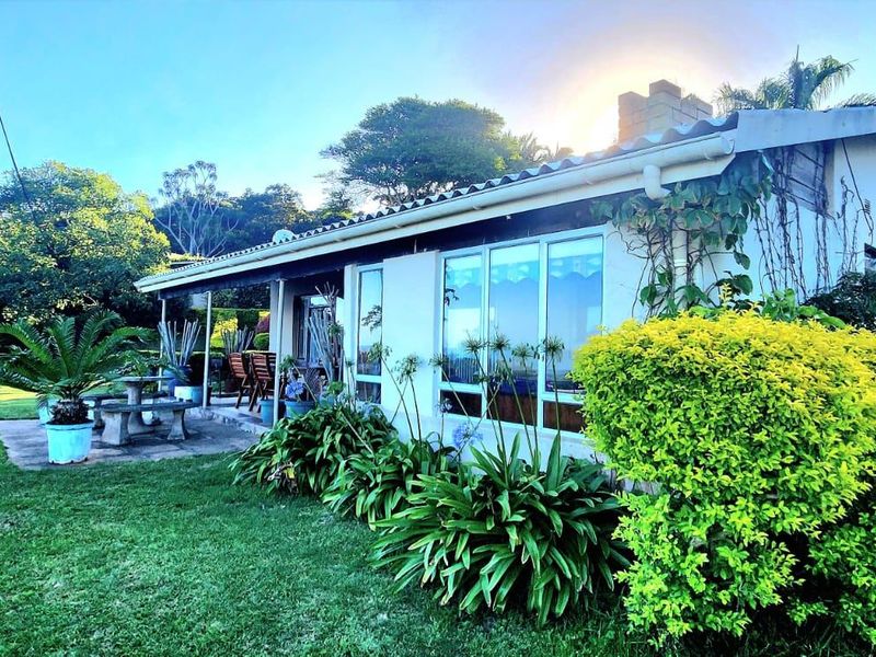 Rear view of the house featuring a concrete patio area, established garden, and tiled roof structure.