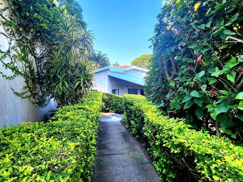 A narrow concrete pathway leads through a lush, hedge-lined garden towards the rear of the property.