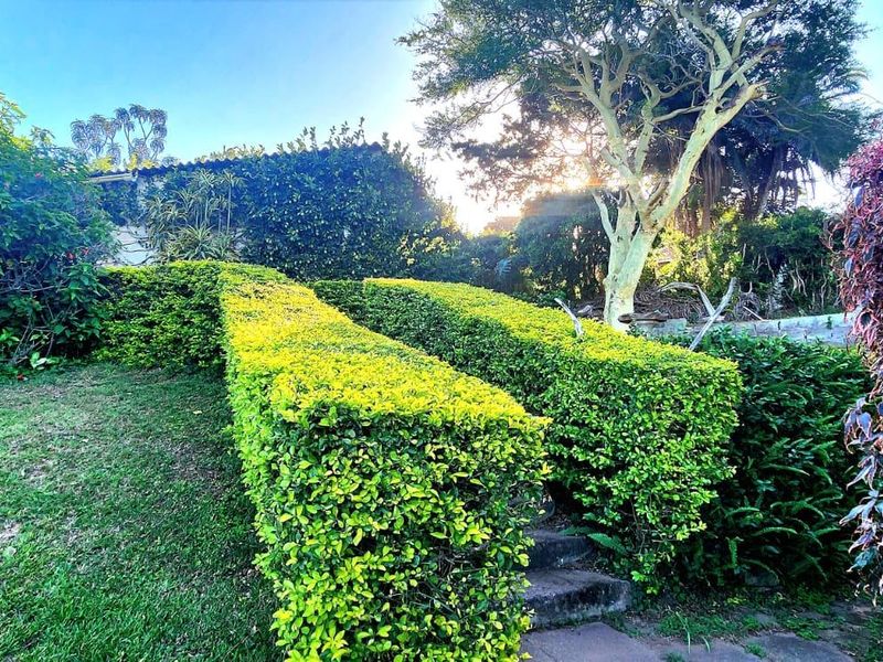A well-maintained garden area featuring manicured hedges, mature trees, and stone steps leading through the landscaped outdoor space.