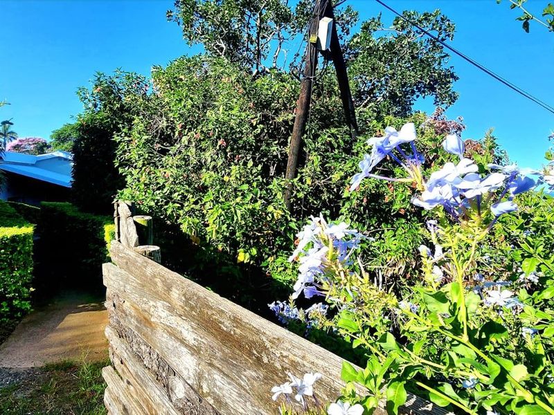 A view of a residential garden area featuring a timber fence, mature landscaping, and a portion of the garage exterior.