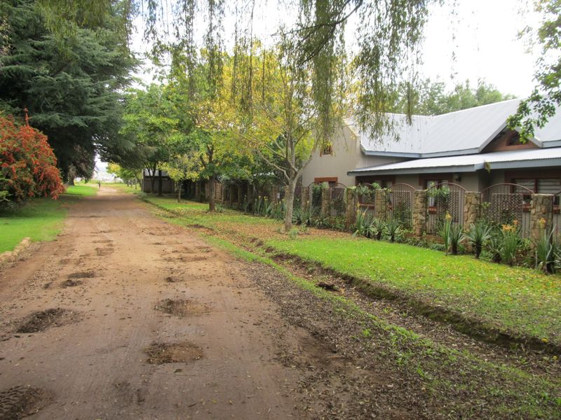 A view of an unpaved residential street featuring mature trees, landscaped verges, and stone-accented perimeter fencing along the property boundary.
