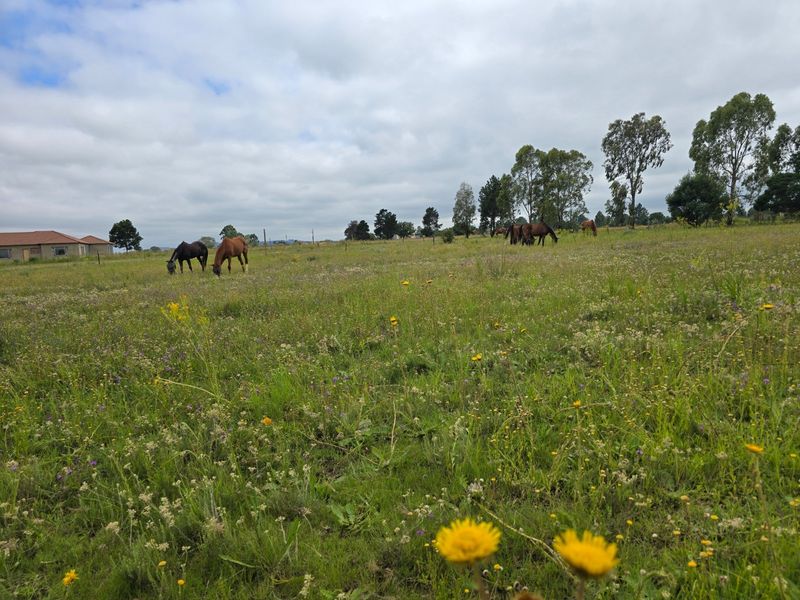 House For Sale In Walkerville - Photo 5