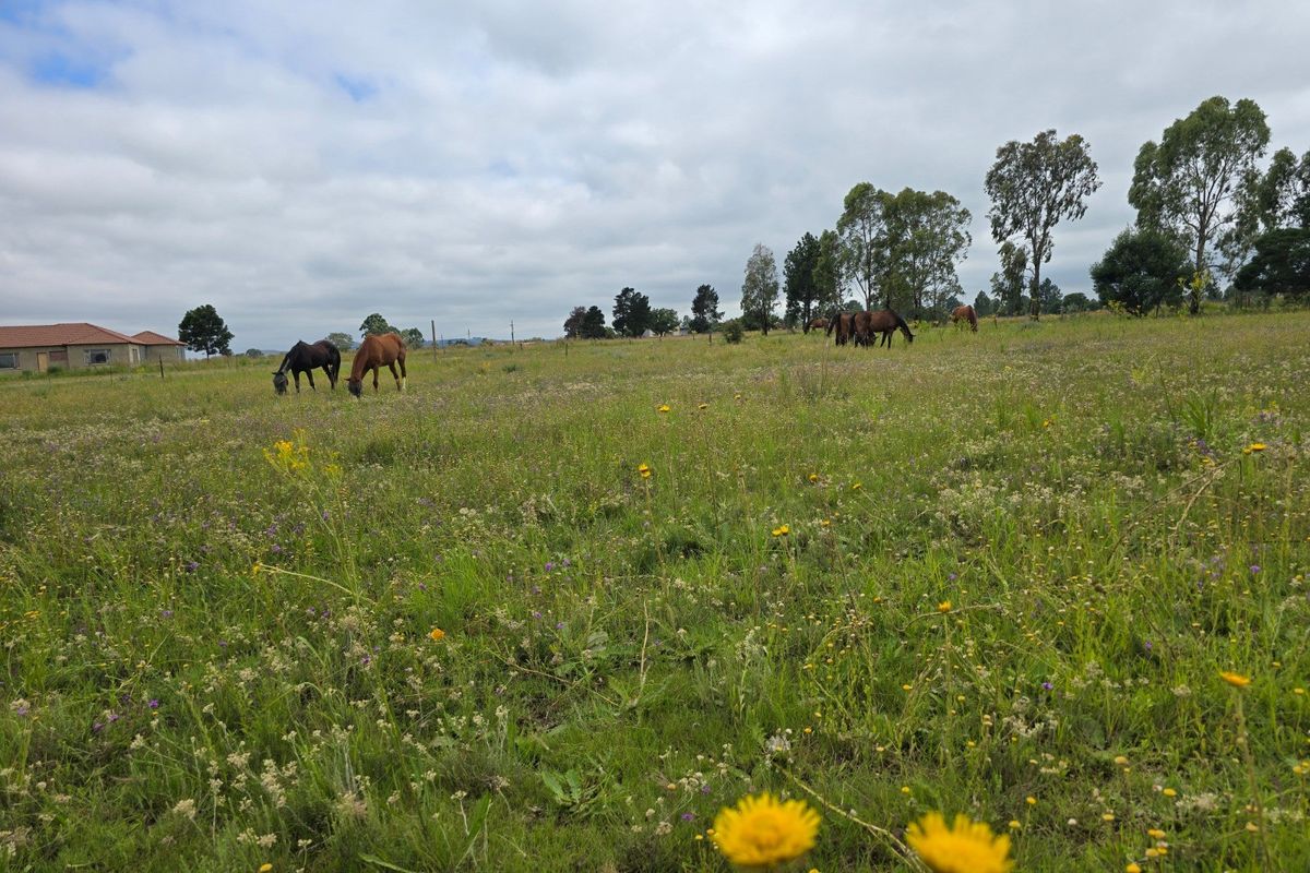 House For Sale In Walkerville - Photo 5