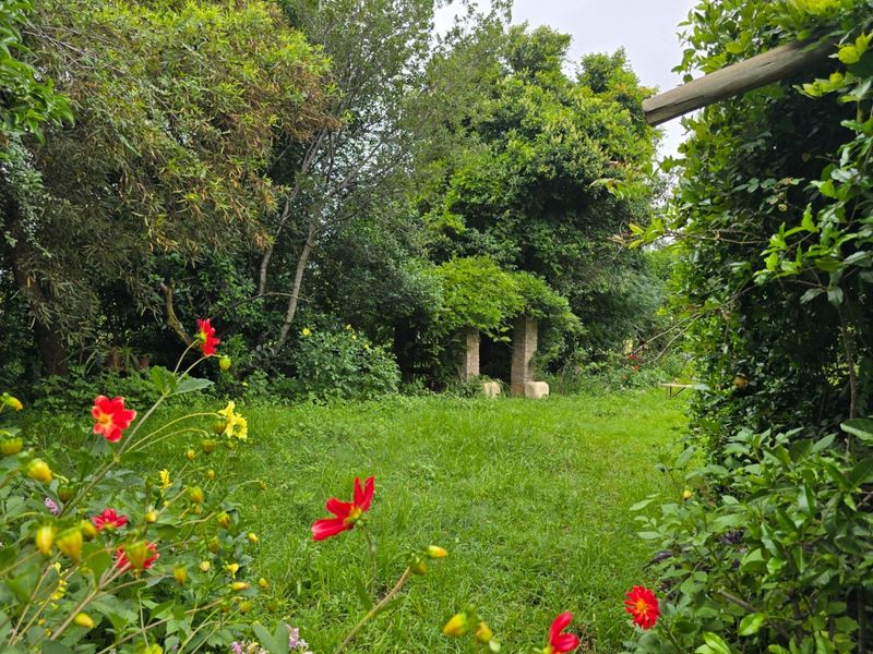 House For Sale In Walkerville - Photo 9