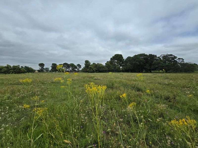 House For Sale In Walkerville - Photo 8