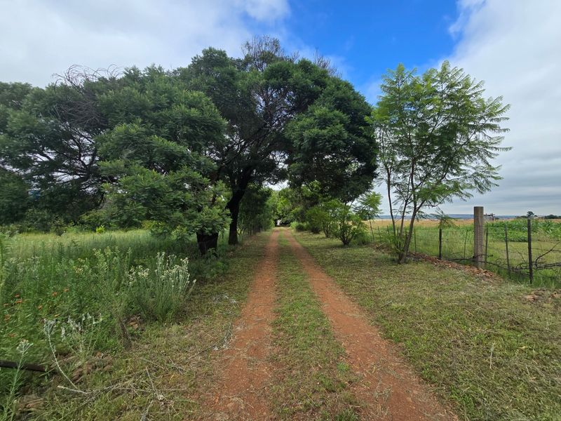 House For Sale In Walkerville - Photo 4