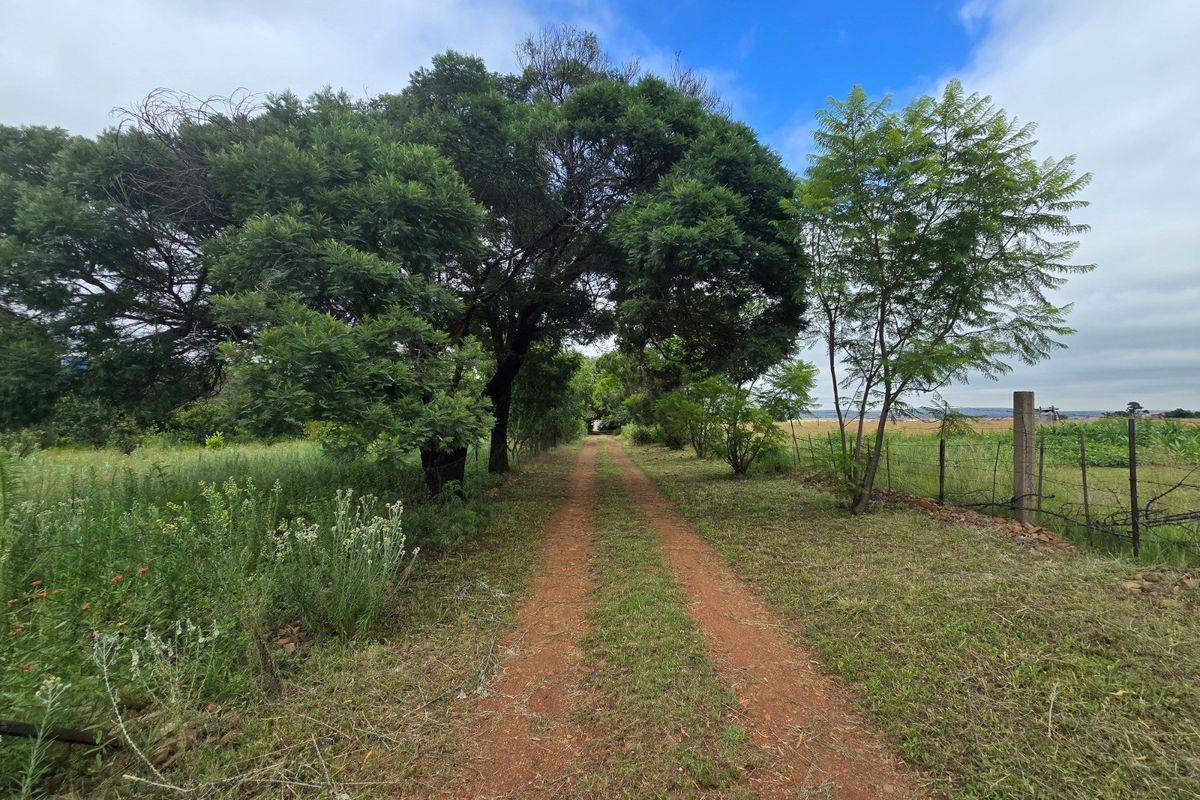 House For Sale In Walkerville - Photo 4