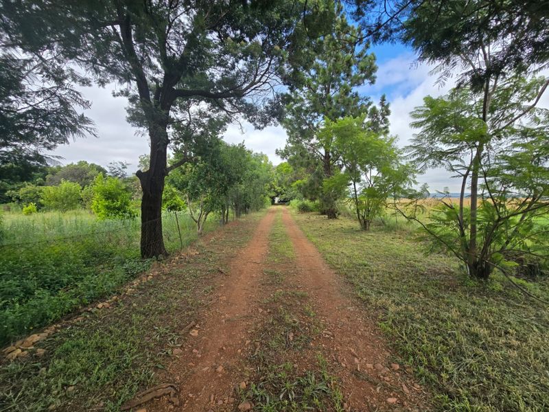 House For Sale In Walkerville - Photo 3