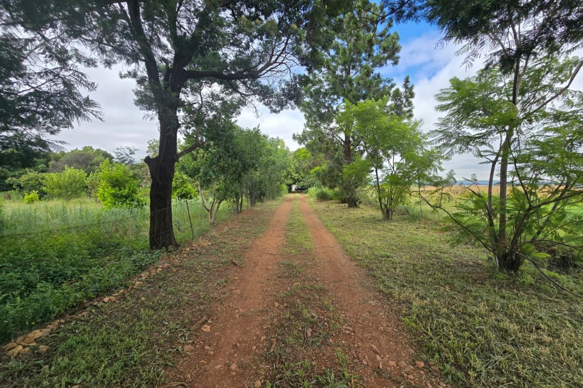 House For Sale In Walkerville - Photo 3