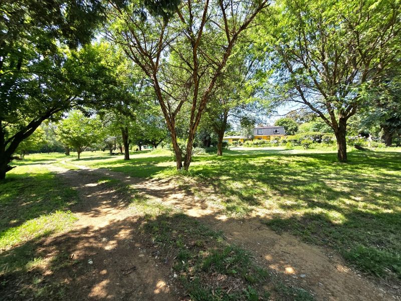 House For Sale In Walkerville - Photo 6