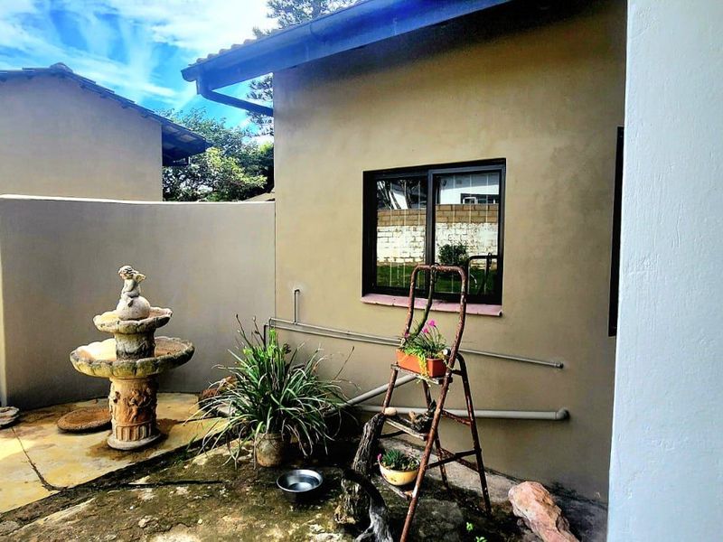 A rear courtyard area featuring plastered walls, aluminium window frames, and concrete paving, offering a private outdoor space for potential landscaping or renovation.