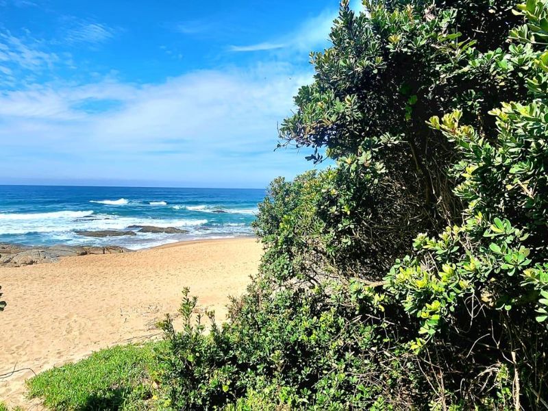 A scenic view of the ocean and sandy beach, framed by coastal vegetation.