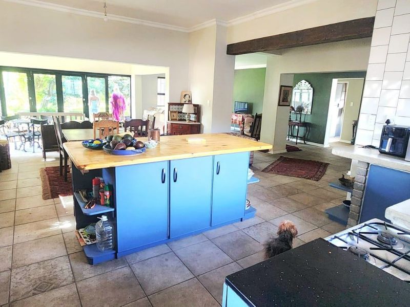 Spacious open-plan kitchen and living area featuring a central island, gas cooktop, tiled splashback, and large bi-fold doors leading to the outdoor space.