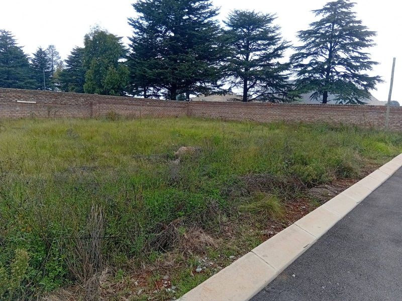 An undeveloped plot of land featuring a brick boundary wall and adjacent paved curb, currently covered in overgrown grass and vegetation.