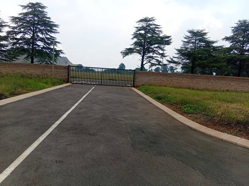 A paved driveway leading to a secure metal gate, enclosed by a brick boundary wall and surrounded by mature trees.